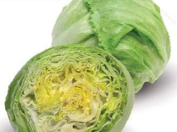 Sjeme salate GLASSICA