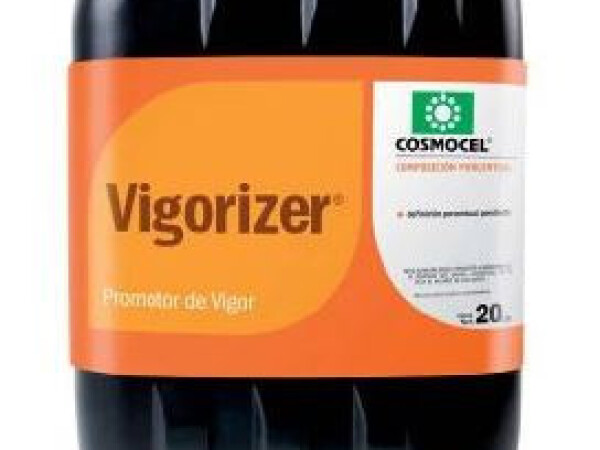 VIGORIZER