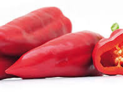 Paprika Kaptur F1 500 sj.