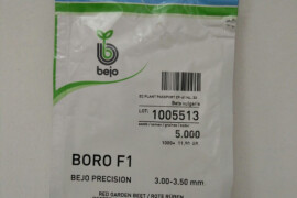 Cikla BORO F1 500 sjemenki