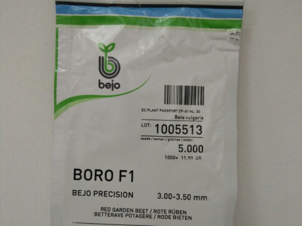 Cikla BORO F1 500 sjemenki