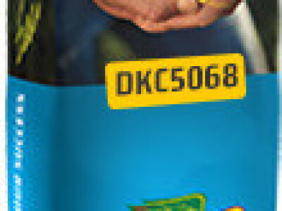DKC5068 - hibrid kukuruza