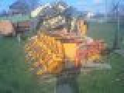 Sijačica pneumatska CARARO za soju ili kukuruz