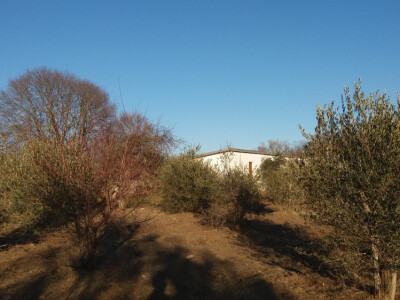 IMANJE ISTRA-POREĆ 10 min od mora