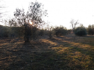 IMANJE ISTRA-POREĆ 10 min od mora