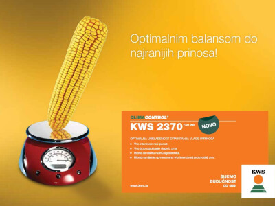 KWS 2370 - hibrid kukuruza FAO 290 - NOVO