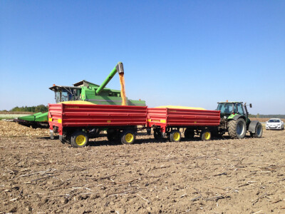 KWS 2370 - hibrid kukuruza FAO 290 - NOVO