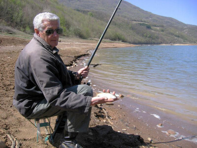 prodaja livada i sume