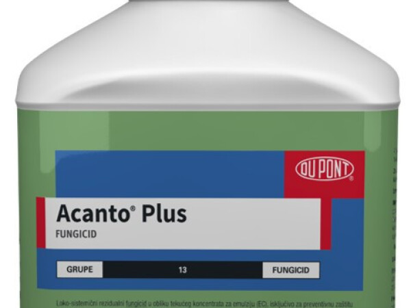 Acanto Plus