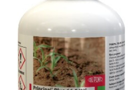 Principal Plus 66,5 WG