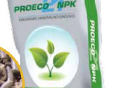 Proeco 21 NPK