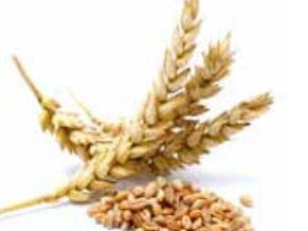 Granosano Evo 6:16:0