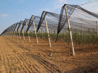 Stubovi od prednapregnutog betona