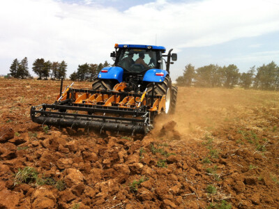 Široka paleta Spider MoroAratri podrivača