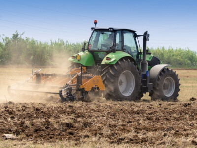 Široka paleta Spider MoroAratri podrivača