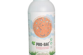 Pro-Bac 1 lit.
