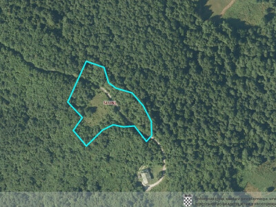 Livade okružene šumom, prilika za pčelare