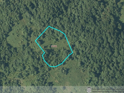 Livade okružene šumom, prilika za pčelare