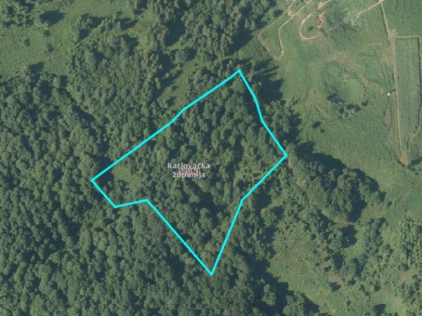 Šuma sa zemljištem u blizini Slunja