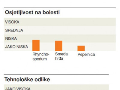 KWS BINNTTO - hibrid raži - NOVO