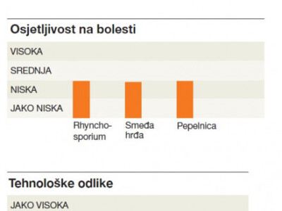 KWS BONO - hibrid raži - NOVO