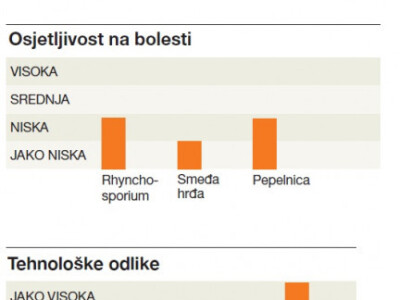 KWS PROGAS - hibrid raži za bioplin - NOVO