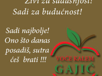 Vocne sadnice i lozni kalemovi po povoljnim cenama