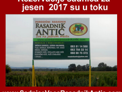Rezervacija sadnica voća i vinove loze za jesen 2017