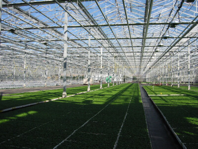 staklenici i plastenici