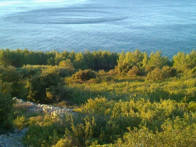 Otok Hvar