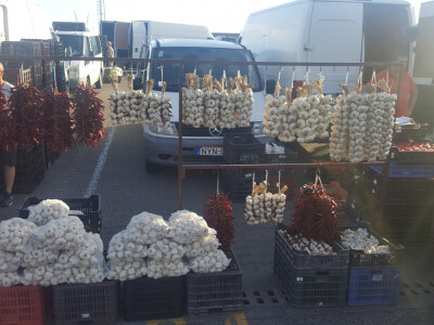 Češnjak 3t u Mađarskoj