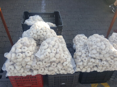 Češnjak 3t u Mađarskoj