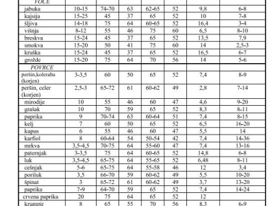 Ivana Mihelčić Žužak