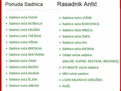 Sadnice voća za 2017 - Hit jesenja CENA