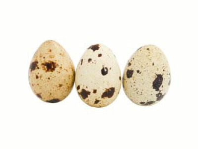 Prodaja jaja japanske prepelice