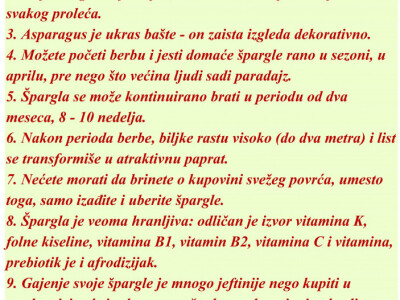 Špargla - lekovita biljka