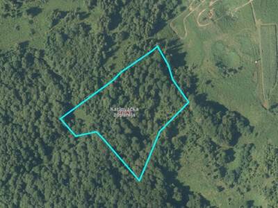 ZEČEV VAROŠ Prodaje se šuma 18.918 m2