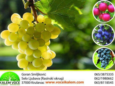 Jesenje sadnice, ZZ KALEM VOĆE GORAN