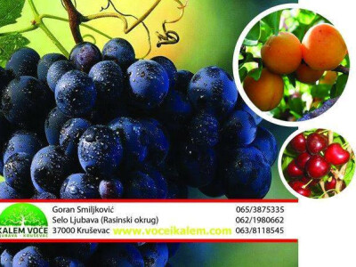 Jesenje sadnice, ZZ KALEM VOĆE GORAN