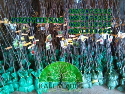 Jesenje sadnice, ZZ KALEM VOĆE GORAN