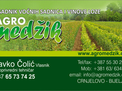 VOĆNE I LOZNE SADNICE, SVIH VRSTA,JESEN 2017 NAJPOVOLJNIJE CENE