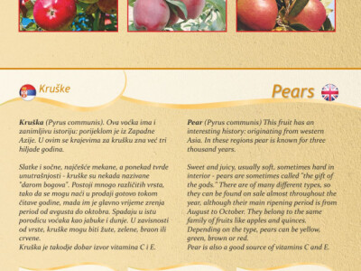 VOĆNE I LOZNE SADNICE, SVIH VRSTA,JESEN 2017 NAJPOVOLJNIJE CENE