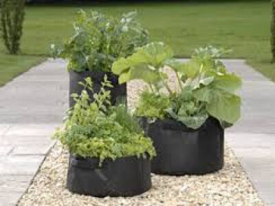 Kontejneri za sadnice