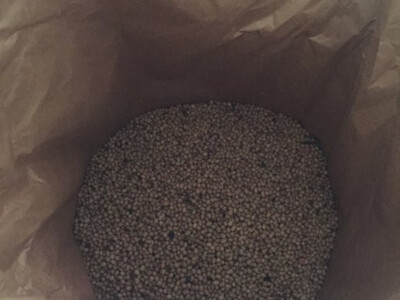 Pržena, tostirana soja