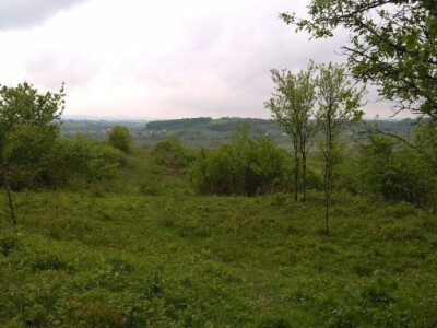 Poljoprivredno zemljiste Kordunski Ljeskovac!