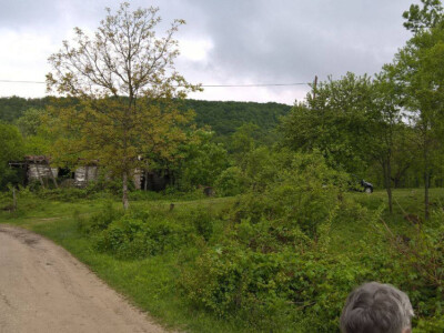 Poljoprivredno zemljiste Kordunski Ljeskovac!