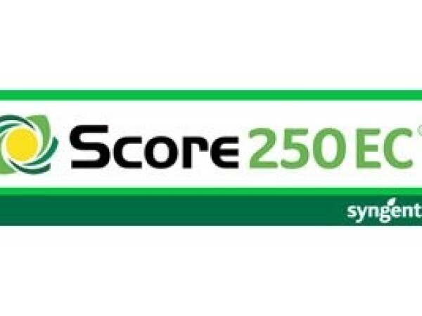 Score 250 EC