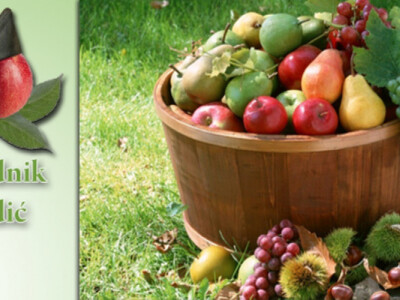 Prodaja - Vocne sadnice rasadnik Čedić