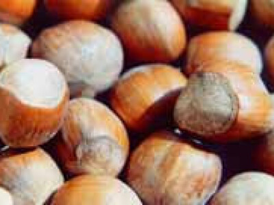 Prodaja - Vocne sadnice rasadnik Čedić