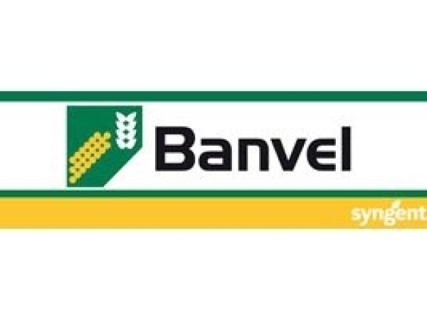 Banvel 480 S